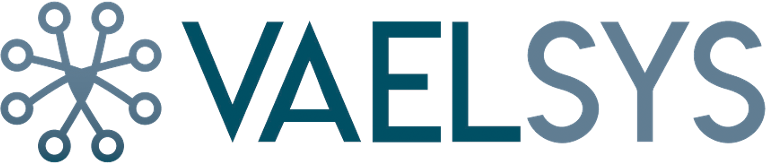 vaelsys logo png
